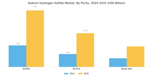 Sodium Hydrogen Sulfide Market Segment Image 0