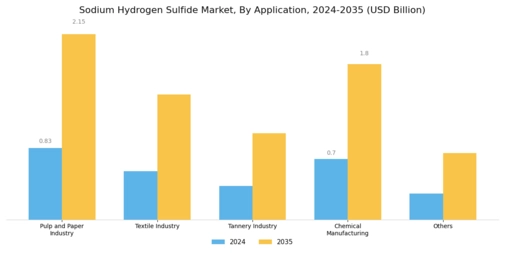 Sodium Hydrogen Sulfide Market Segment Image 1