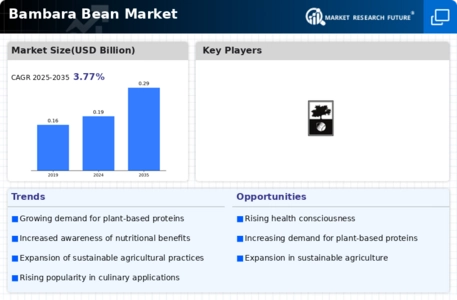 Bambara Bean Market Infographic