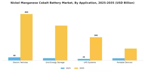 Nickel Manganese Cobalt Battery Market
 Segment Image 2