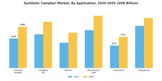 Synthetic Camphor Market Segment Image 0
