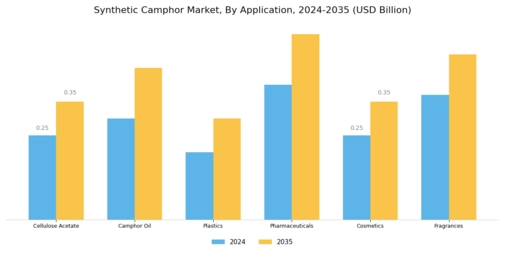 Synthetic Camphor Market Segment Image 0