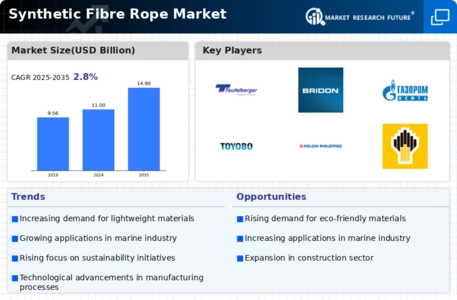 Synthetic Fibre Rope Market  Infographic