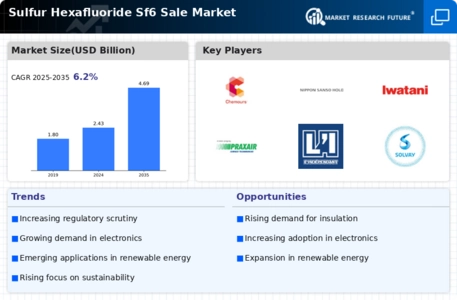 Sulfur Hexafluoride Sf6 Sale Market Infographic
