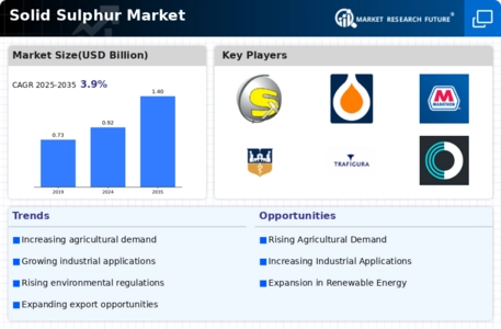 Solid Sulphur Market Infographic