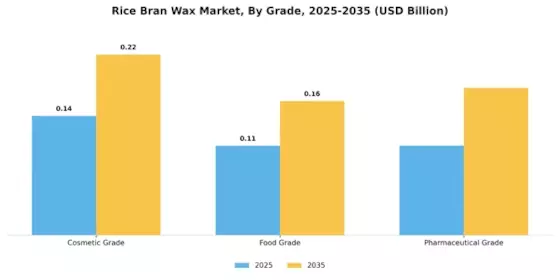 Rice Bran Wax Market Segment Image 1