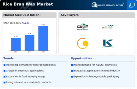 Rice Bran Wax Market Infographic