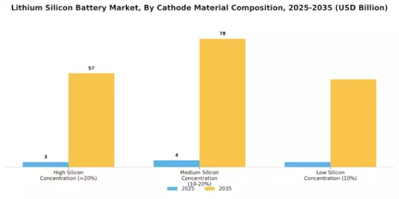 Lithium Silicon Battery Market Segment Image 2