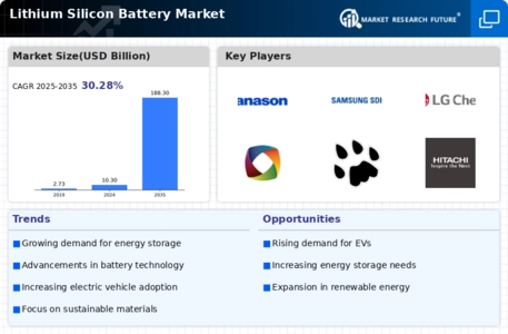 Lithium Silicon Battery Market Infographic