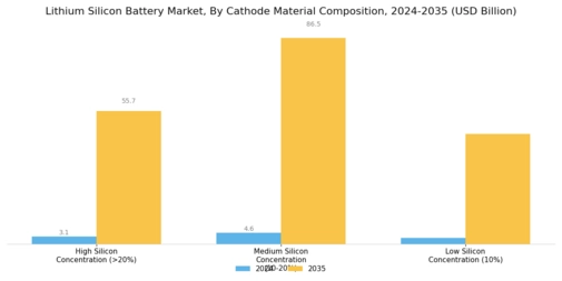 Lithium Silicon Battery Market Segment Image 2