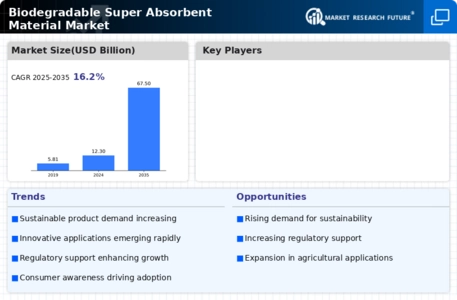 Biodegradable Super Absorbent Material Market Infographic