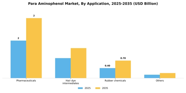 Para Aminophenol Market Segment Image 0