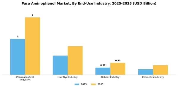 Para Aminophenol Market Segment Image 1