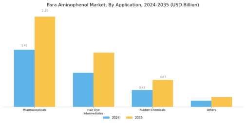 Para Aminophenol Market Segment Image 0