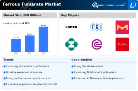 Ferrous Fumarate Market Infographic