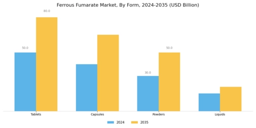 Ferrous Fumarate Market Segment Image 1