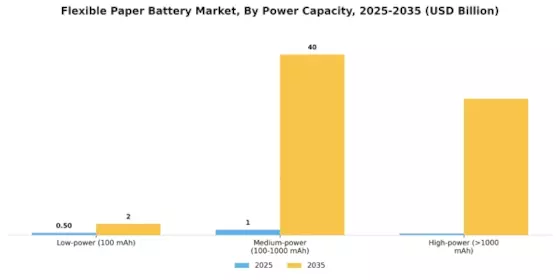 Flexible Paper Battery Market
 Segment Image 2