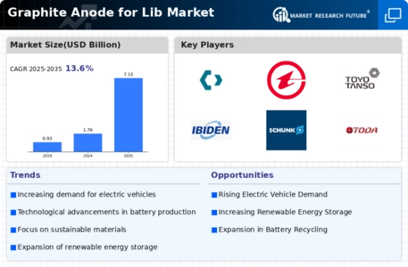 Graphite Anode for Lib Market Infographic