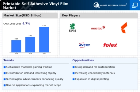 Printable Self Adhesive Vinyl Film Market Infographic
