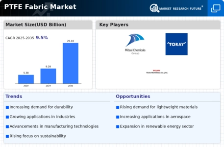 Ptfe Fabric Market Infographic