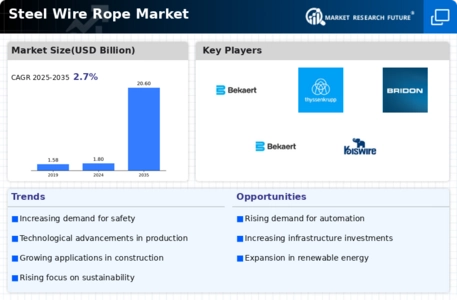 Steel Wire Rope Market Infographic