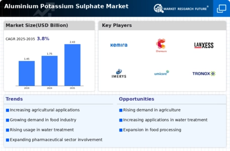 Aluminium Potassium Sulphate Market Infographic