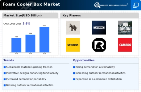 Foam Cooler Box Market Infographic