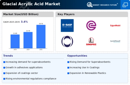 Glacial Acrylic Acid Market Infographic