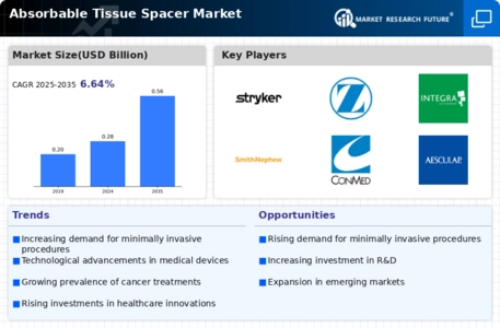 Absorbable Tissue Spacer Market Infographic