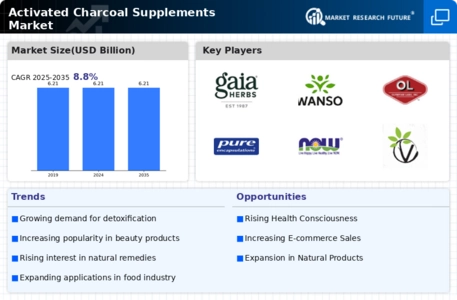 Activated Charcoal Supplements Market Infographic