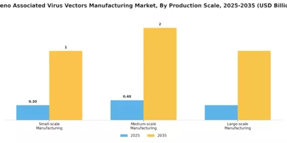 Adeno Associated Virus Vectors Manufacturing Market Segment Image 2