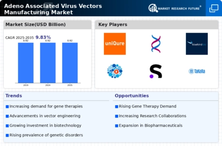 Adeno Associated Virus Vectors Manufacturing Market Infographic
