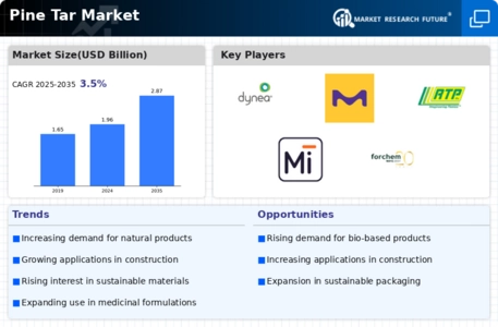 Pine Tar Market Infographic