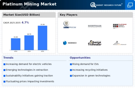 Platinum Mining Market
 Infographic
