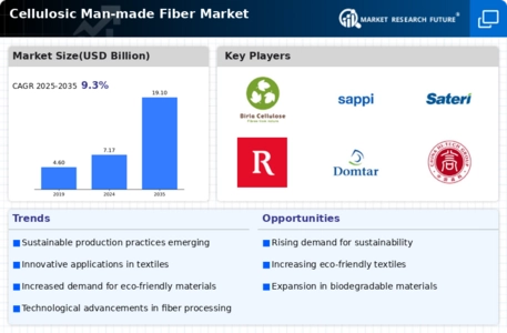 Cellulosic Man-made Fiber Market Infographic