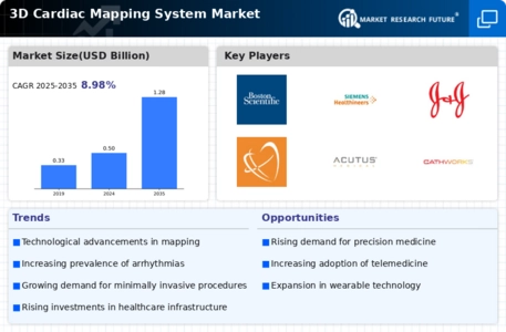 3D Cardiac Mapping System Market Infographic