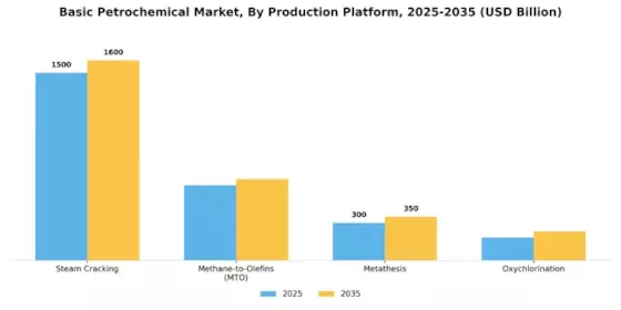 Basic Petrochemical Market Segment Image 1