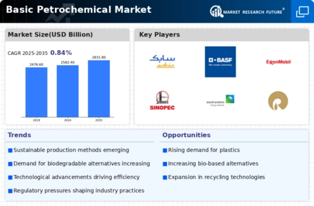 Basic Petrochemical Market Infographic