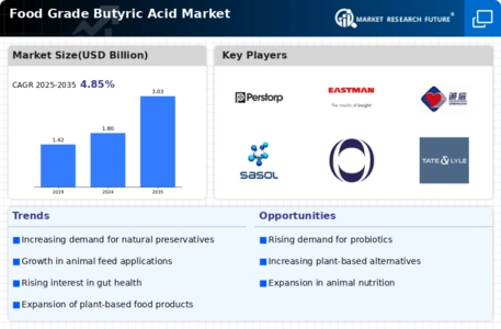 Food Grade Butyric Acid Market Infographic