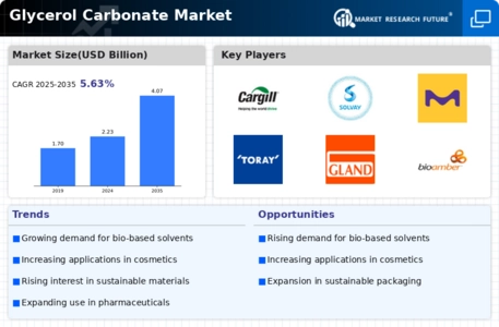 Glycerol Carbonate Market
 Infographic