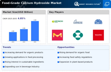 Food Grade Calcium Hydroxide Market Infographic