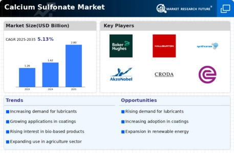 Calcium Sulfonate Market Infographic