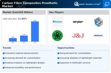 Carbon Fibre Composites Prosthetic Market Infographic