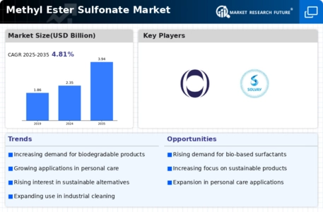 Methyl Ester Sulfonate Market Infographic
