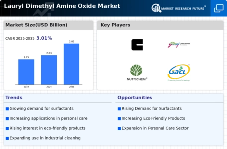 Lauryl Dimethyl Amine Oxide Market Infographic
