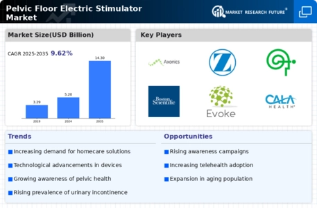 Pelvic Floor Electric Stimulator Market Infographic
