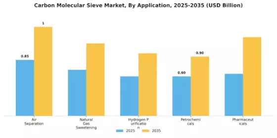 Carbon Molecular Sieve Market Segment Image 0