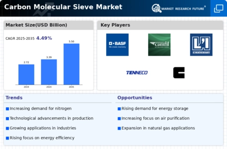 Carbon Molecular Sieve Market Infographic