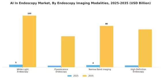 Ai In Endoscopy Market Segment Image 3