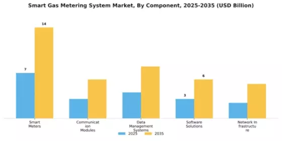 Smart Gas Metering System Market Segment Image 1